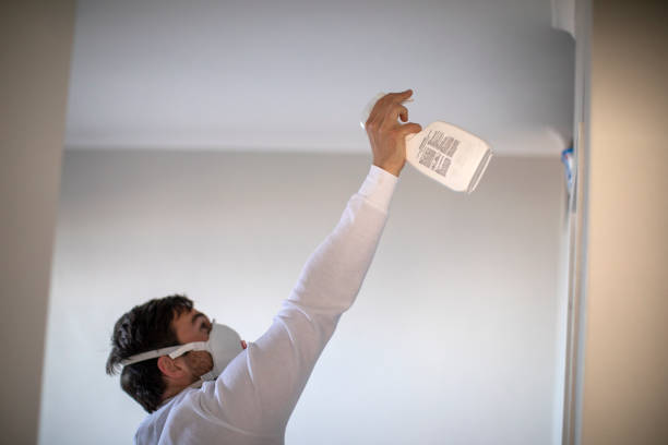 Professional Mold Removal in Orange Cove, CA