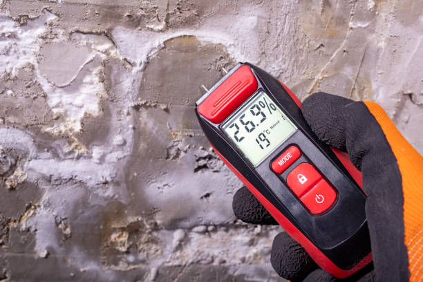 Best Emergency Mold Removal  in Orange Cove, CA