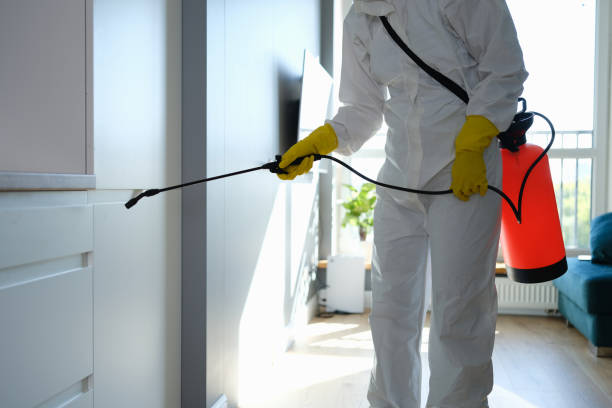 Best Mold Damage Repair  in Orange Cove, CA