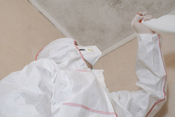 Best Professional Mold Removal  in Orange Cove, CA