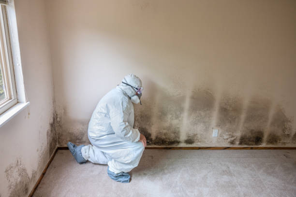 Best Crawl Space Mold Removal  in Orange Cove, CA