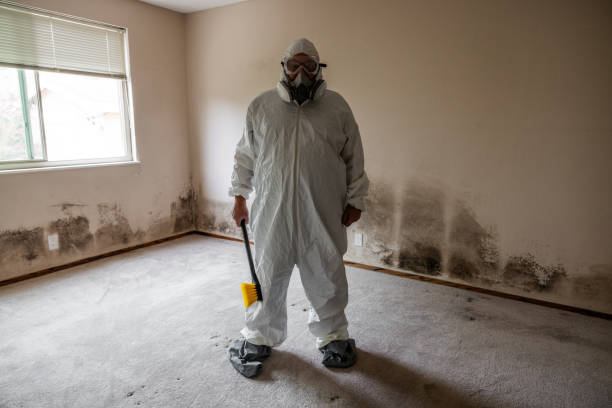 Best Mold Removal Process  in Orange Cove, CA